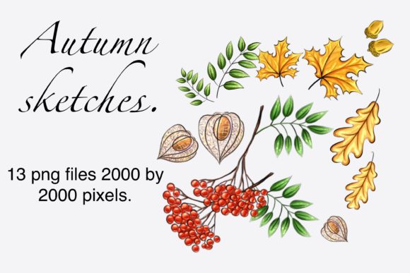 Autumn Sketches: Elevating Your Digital and Print Projects with Hand-Drawn Charm