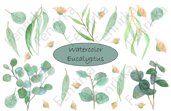 Elevating Design with Bundle of Watercolor Eucalyptus Digital Assets