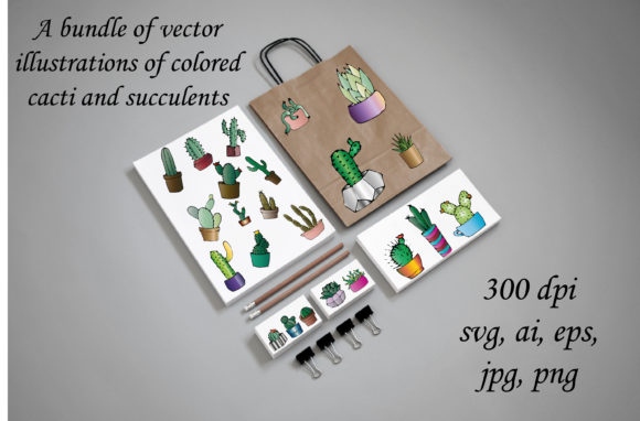 Unlocking Creative Potential with a Bundle of Colored Cacti and Succulents